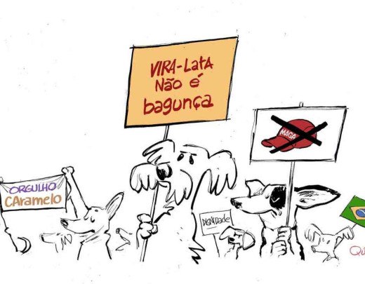 Vira-lata não é bagunça -  (crédito: Quinho)
