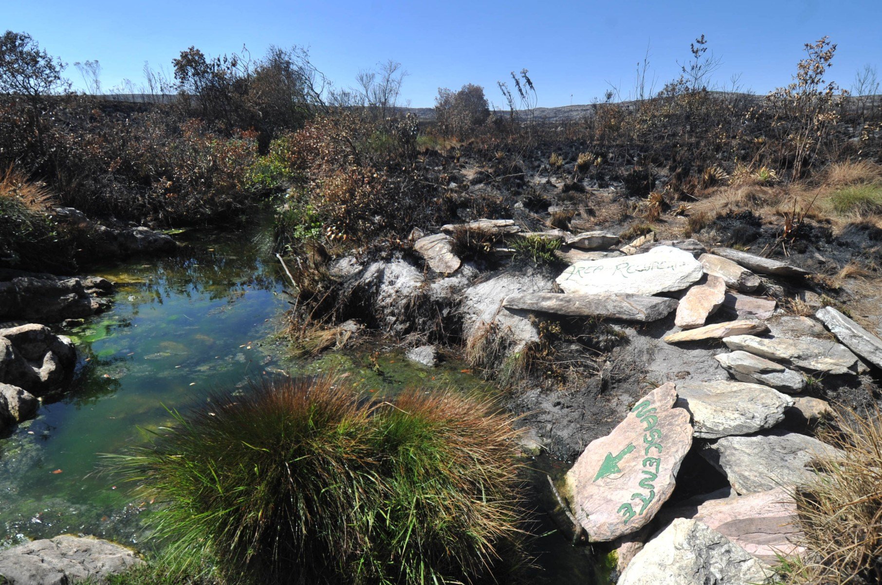 Serra da Canastra (MG)
-Leandro Couri/EM/D.A Press. Brasil. Sao Roque de Minas - MG. O cenario da nascente do Rio Sao Francisco, que e aberta ao publico, e desolador pela destruicao pelo fogo e tambem pelo baixo nivel da nascente, em proporcoes nunca vistas antes. - Nascente do Rio Sao Francisco, localizada dentro do Parque Estadual da Serra da Canastra secou por conta do tempo de estiagem (seca) e, tambem, da queimada. Esta e a primeira vez que a nascente seca.