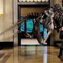Uma Noite no Museu tem sequência confirmada; presença de Ben Stiller é incerta -  Divulgação