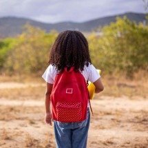 Doações via IRPF chegam a R$?414 milhões em 2025 - DINO