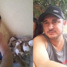 Perigo até dentro de casa: cão mata o tutor; ataques de pitbull se sucedem - Reproduçao redes sociais 