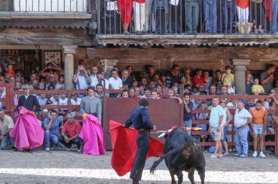 Também conhecidas como tauromaquia, as touradas são uma tradição controversa com raízes profundas em diversas culturas, principalmente na Península Ibérica e em partes da América Latina. -  (crédito: wikimedia commons Agustí Amorós Joseph)