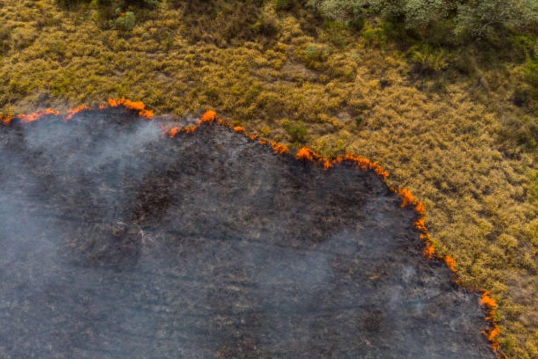 Ansiedade climática cresce com extremos do clima Ansiedade climática cresce com extremos do clima