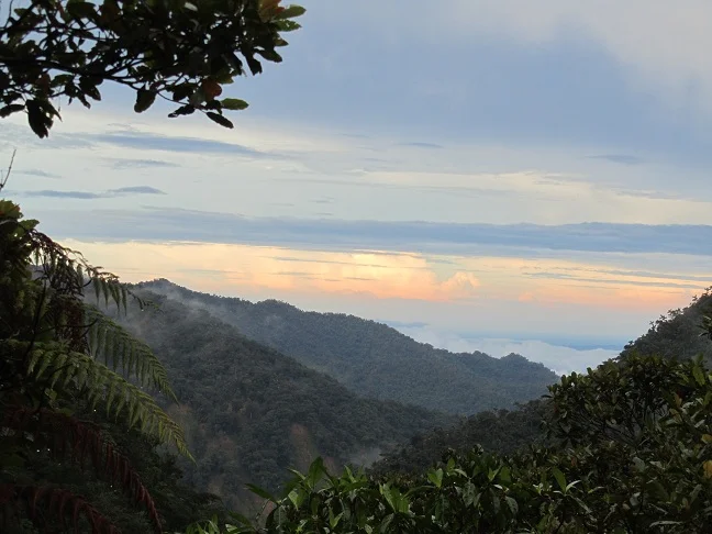 Beyond the Ultimate wikimedia commons