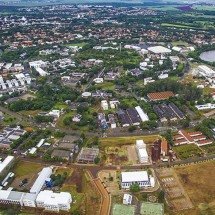 Estudo adverte sobre risco de um dos derivados do coco - Divulgação UNICAMP