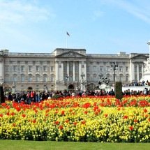 Celebridades de prestígio que receberam título de Sir, honraria da Coroa Britânica - Imagem de Christian Storb por Pixabay