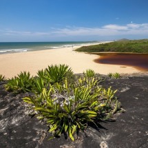 Coloração avermelhada da Lagoa dos Caraís deve-se à decomposição de matéria orgânica, proveniente, principalmente, das raízes das plantas locais     -  (crédito:  Leonardo Merçon / Instituto Últimos Refúgios)
