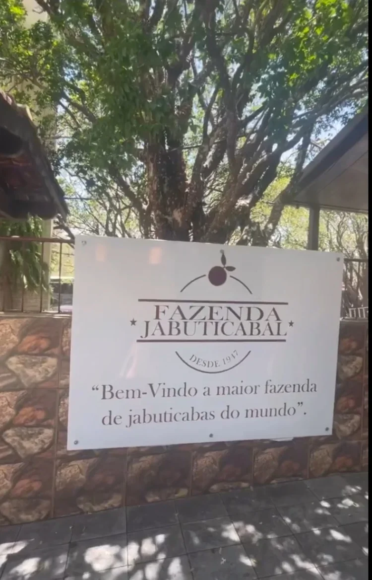 Brasil possui maior pomar de jabuticaba do mundo