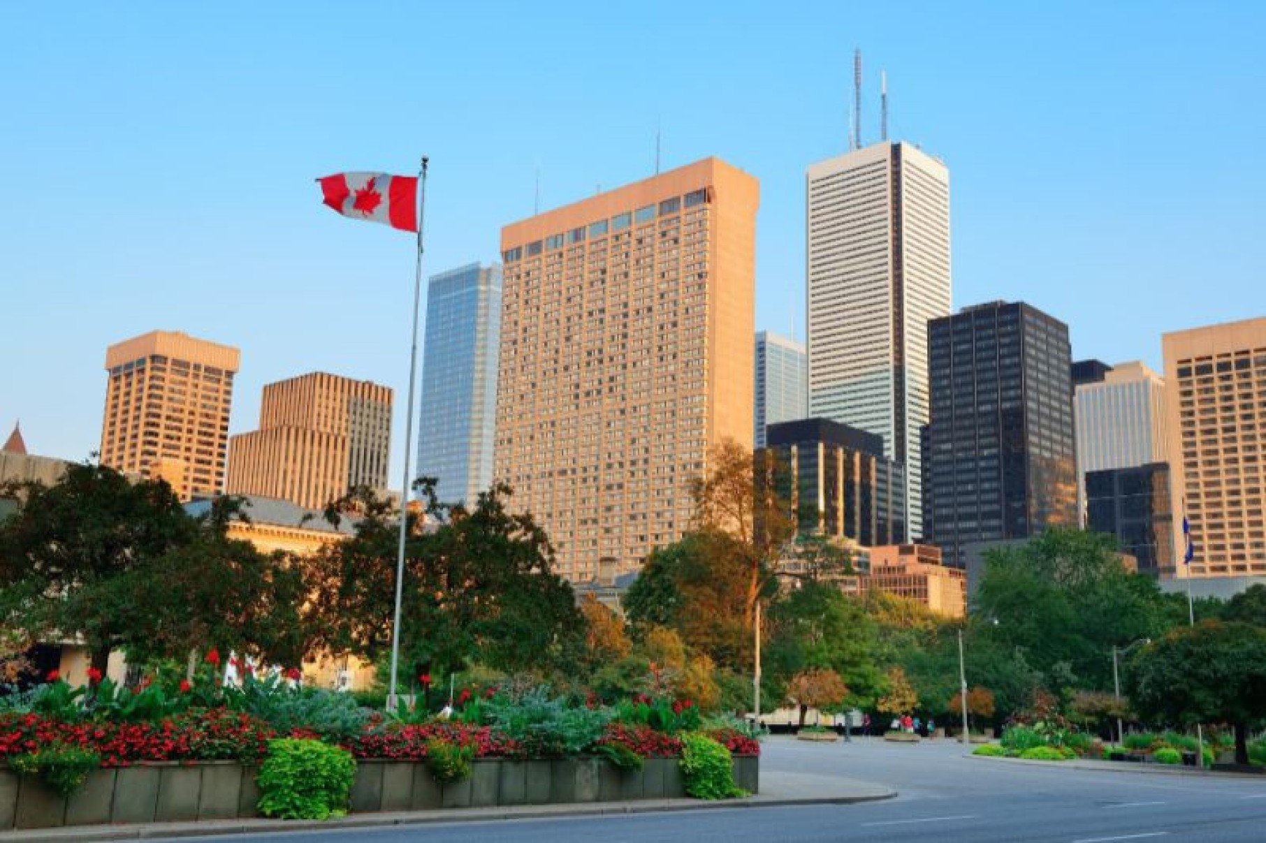 Canadá busca talentos de TI e sistema de pontos é a chave - DINO