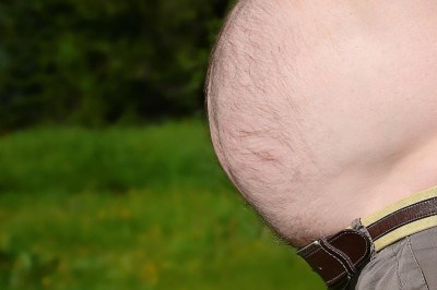 Além dos riscos já conhecidos, o excesso de gordura visceral também compromete a saúde digestiva -  (crédito: Pixabay)