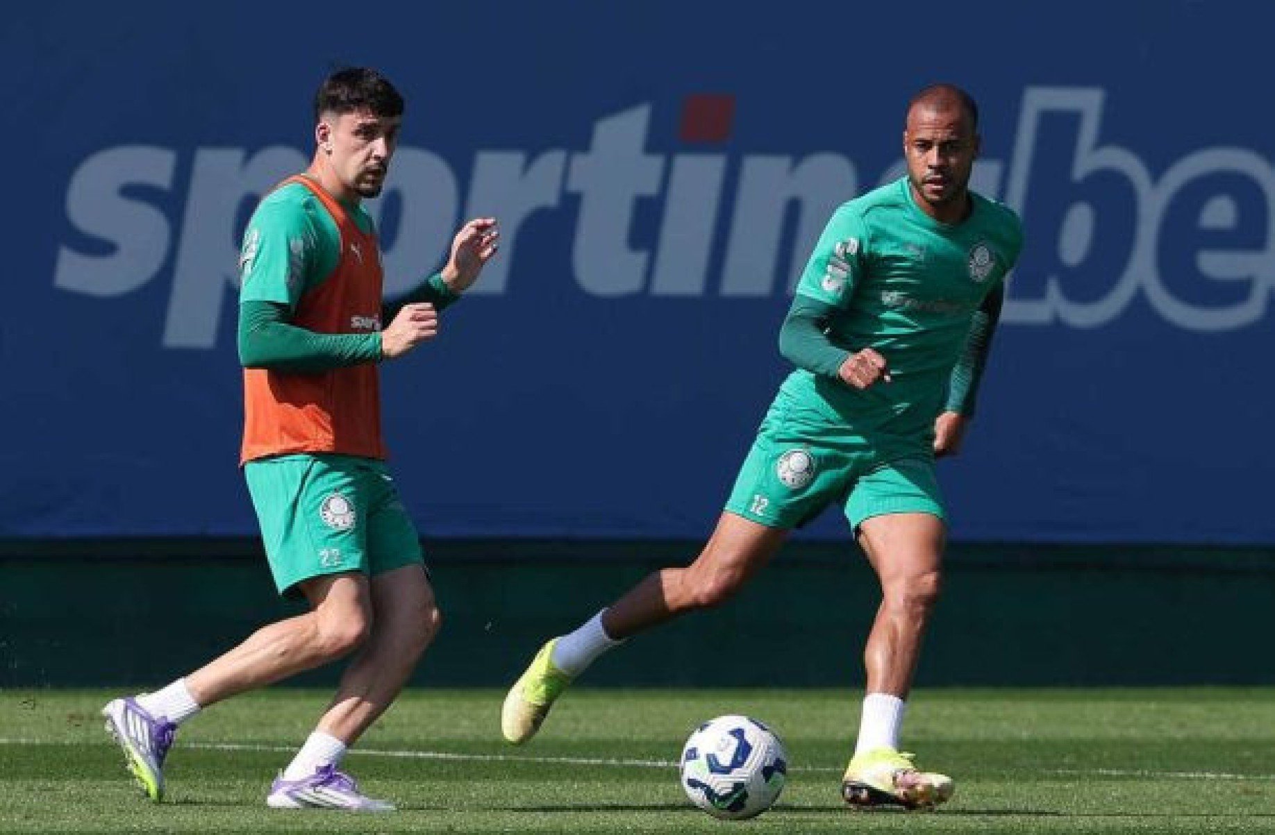 De volta ao Brasileirão, Palmeiras treina com reforços e ausências no elenco