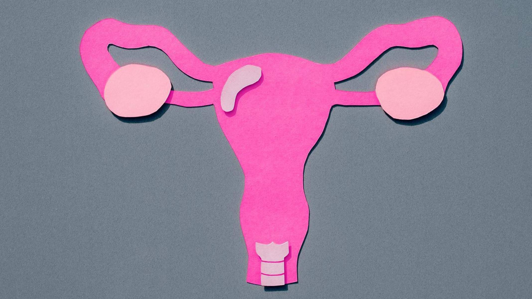 A surpreendente mobilidade do útero e por que ela é fundamental para o sistema reprodutor feminino - Getty Images