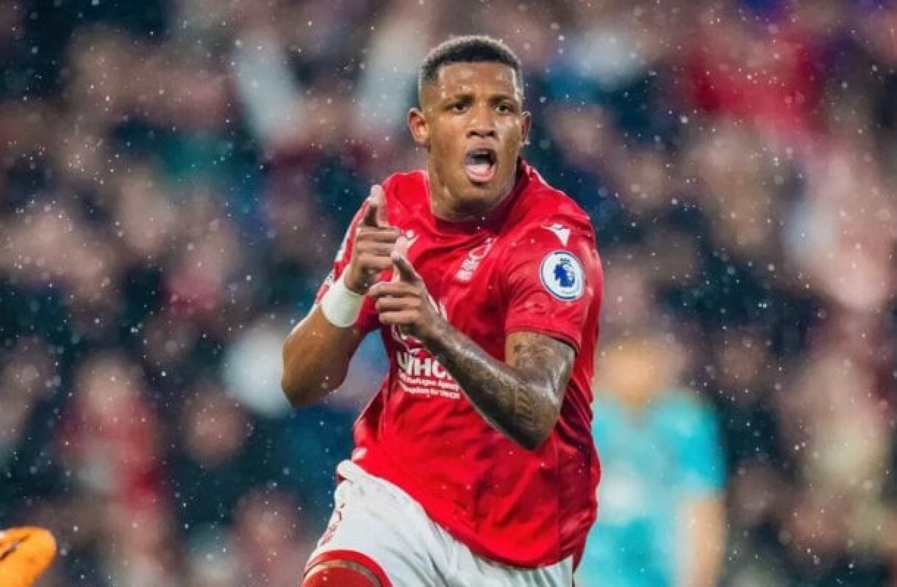 Danilo, ex-Palmeiras, pode parar no Botafogo