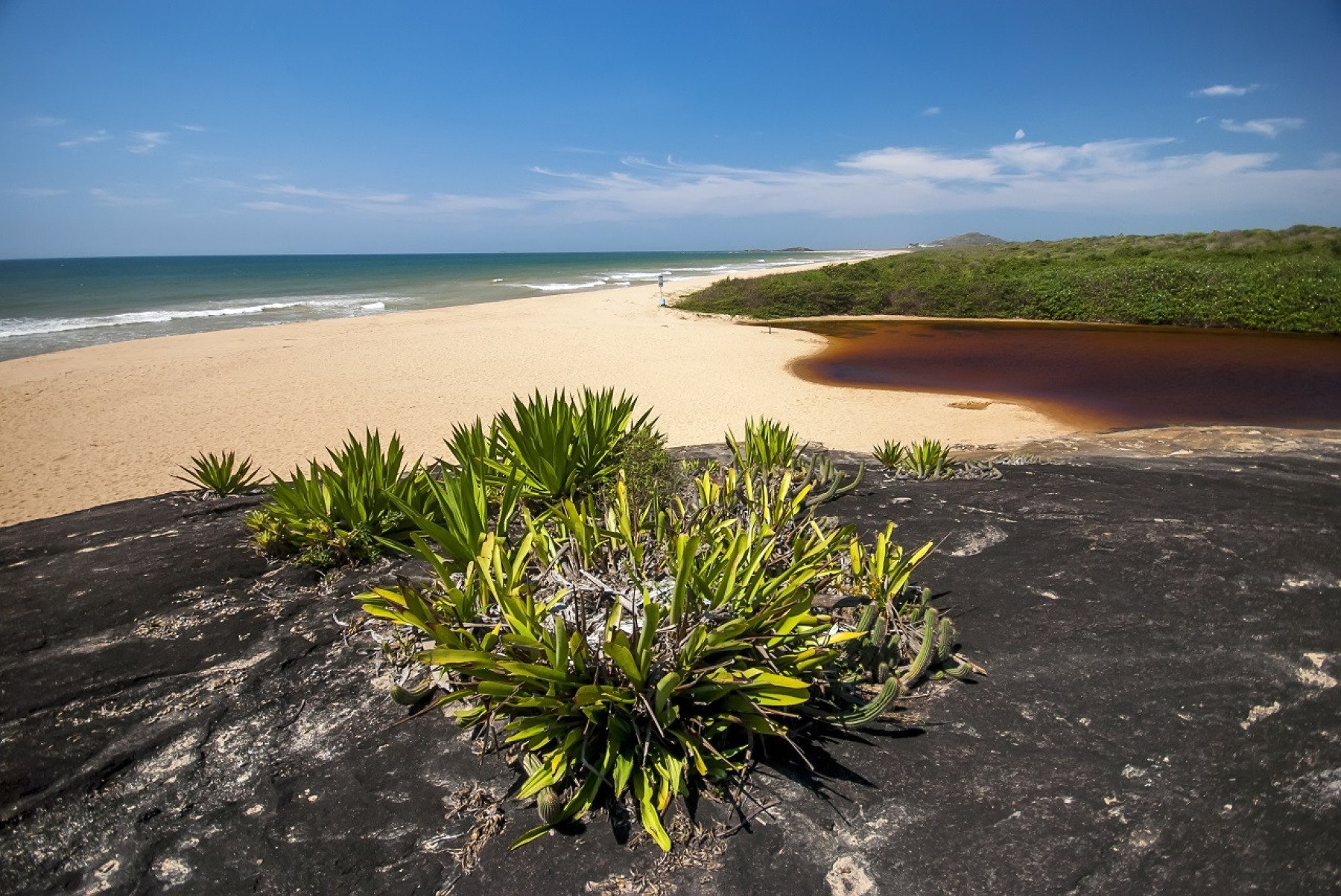 Coloração avermelhada da Lagoa dos Caraís deve-se à decomposição de matéria orgânica, proveniente, principalmente, das raízes das plantas locais    - Leonardo Merçon / Instituto Últimos Refúgios