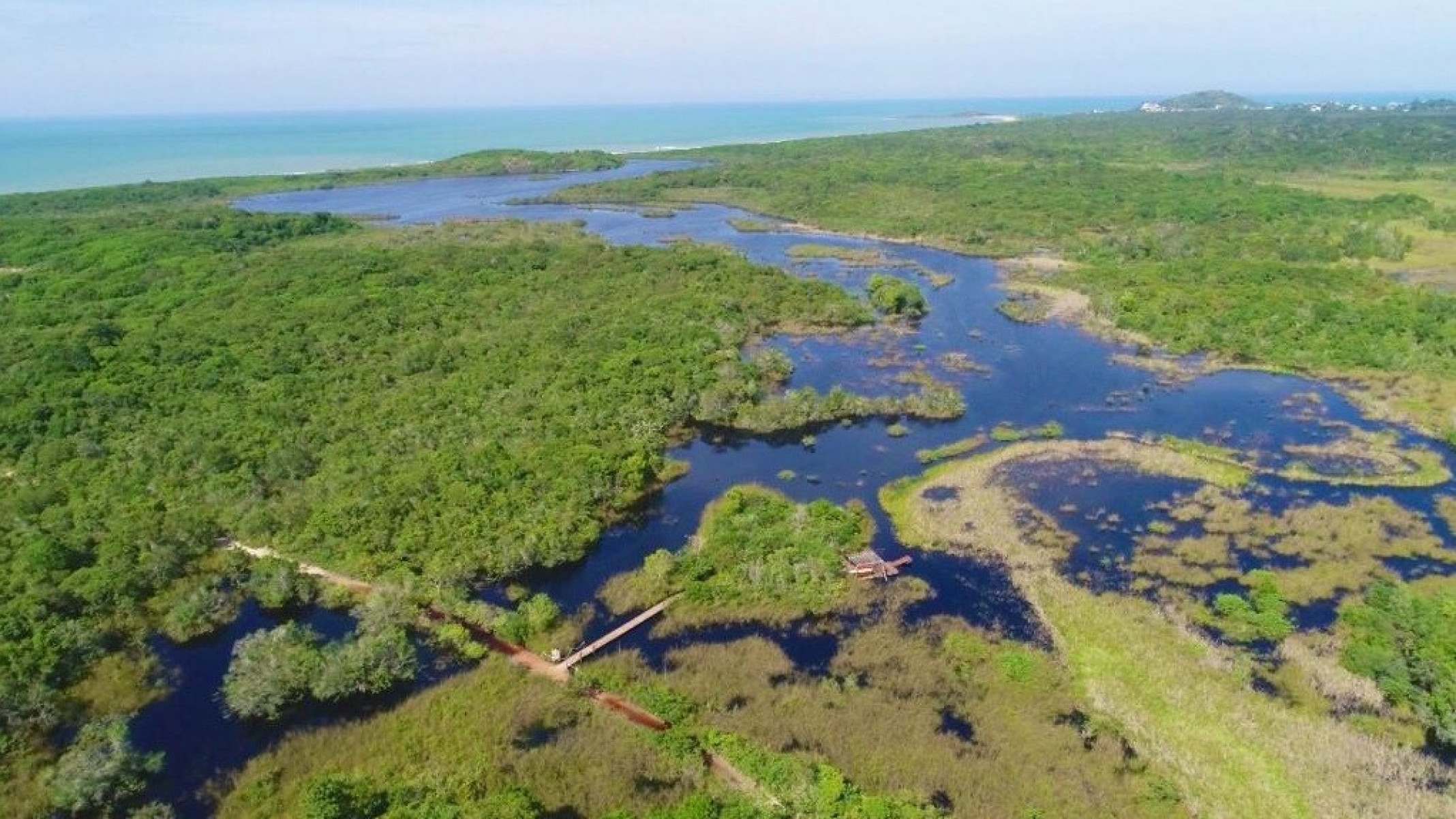 Parque Estadual Paulo César Vinha ocupa uma área de 1.500 ha, toda ocupada por uma restinga, bioma típico da Mata Atlântica-Karolina Gazoni/Iema/Divulgação