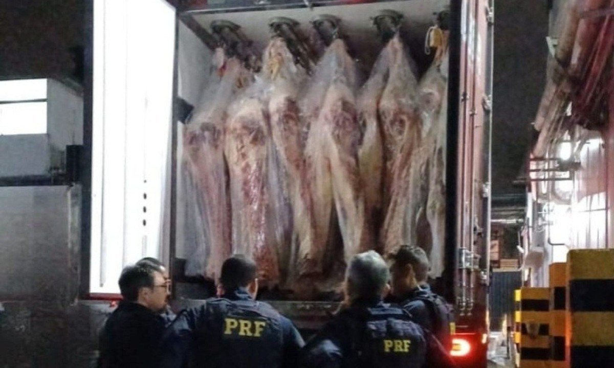 Droga estava escondida em meio a carga de carne  -  (crédito: PRF/Divulgação)