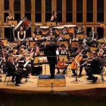 Melodia e harmonia que fazem bem: saiba os instrumentos de uma orquestra -  Reprodução de Youtube