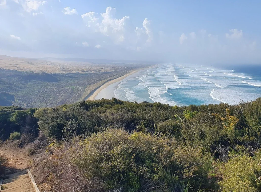 Brasil tem a maior praia do mundo; veja onde fica - Shakylsles wikimedia commons