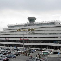 1.500 tarântulas escondidas em caixa de bolo de chocolate são apreendidas em aeroporto - Qualle wikimedia commons 