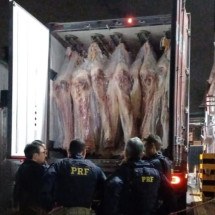 Caminhoneiro é preso com 400 kg de maconha em meio a carga de carne - PRF/Divulgação