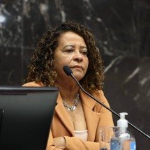 Após conflitos, PT mineiro elege deputada estadual como presidente - Luiz Santana/ALMG