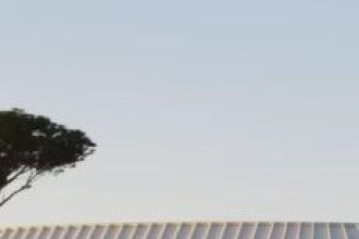 Novo estádio de grande italiano pode não sair do papel por causa de aves e morcegos