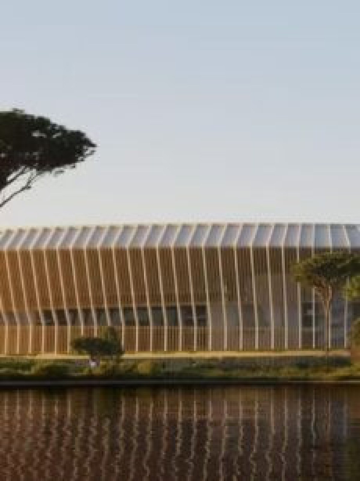 Novo estádio de grande italiano pode não sair do papel por causa de aves e morcegos