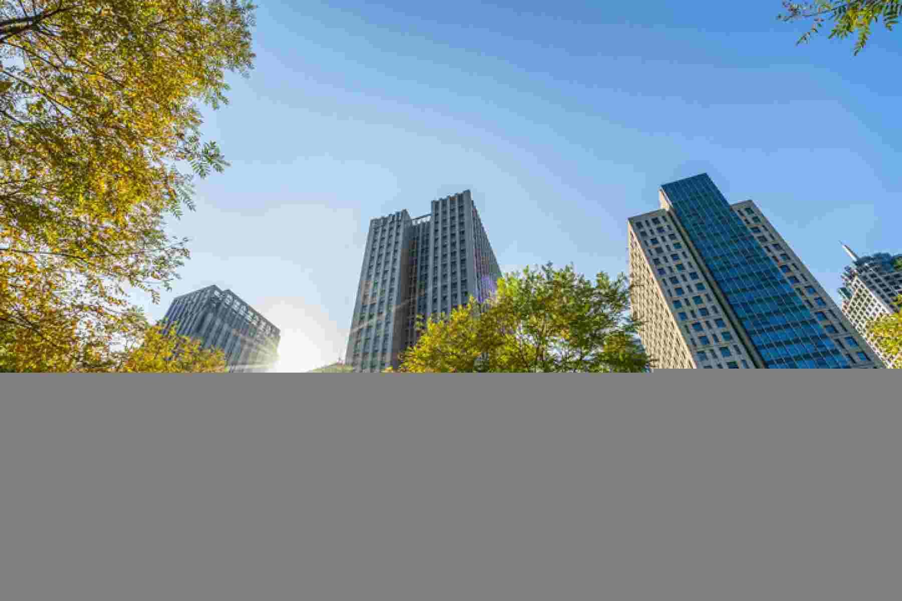 Grant Thornton orienta sobre adaptação ao IFRS S1 e S2 -  Getty Images/iStockphoto