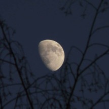 Magia na Lua Minguante: banimento, limpeza e purificação