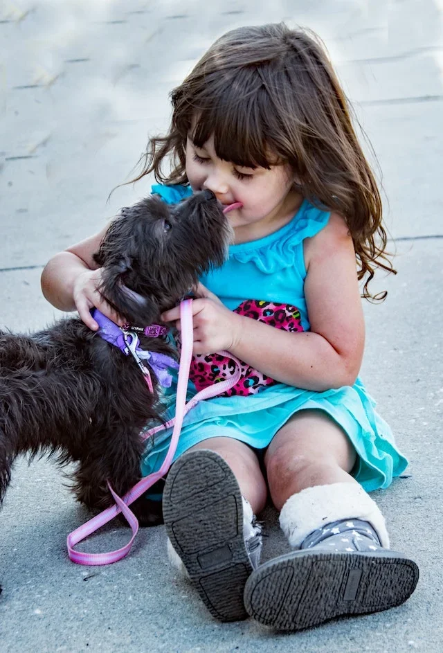 Raças de cães que não são adequadas para crianças; veja - Pexels/bin Ziegler