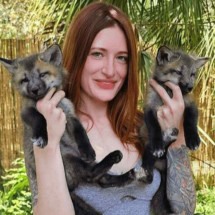 Ativista de resgate animal de 29 anos morre por sofrer bullying on-line
