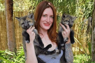 Ativista de resgate animal de 29 anos morre por sofrer bullying on-line