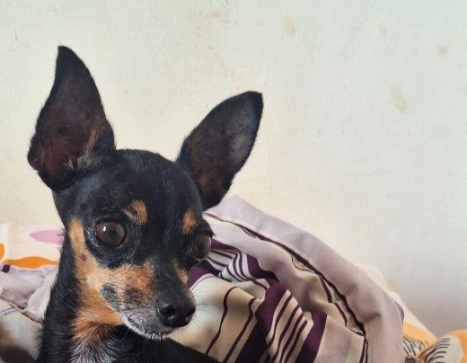 Tuthy é conhecido por ser enérgico e carismático