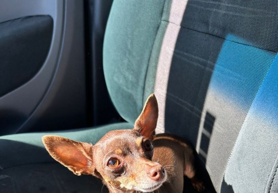 Reprodução/ Arquivo Pessoal