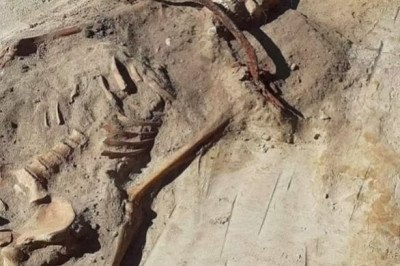 Pesquisadores da Polônia  fizeram a reconstrução facial de uma mulher enterrada há 400 anos, como se fosse uma vampira.  Seus restos mortais foram encontrados por arqueólogos num cemitério rural do século XVII, perto da vila de Pien, na Polônia.   -  (crédito: reprodução/Miroslaw Blicharski/Aleksander Poznan)