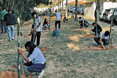 Mais que um ato de arborização, a ação foi um gesto de carinho e respeito ao Rio das Velhas, curso d’água tão sofrido, mas fundamental para a identidade e a formação histórica de minas

 -  (crédito: Julio Moreira/em/d.a press)