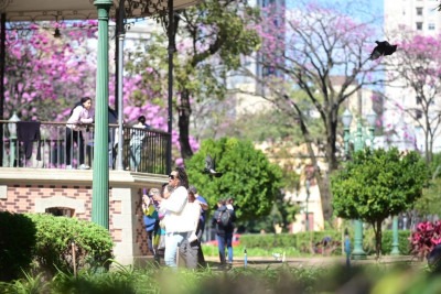 Belo Horizonte está sob alerta para baixas temperaturas até sexta-feira (18) -  (crédito: Leandro Couri/EM/D.A. Press)