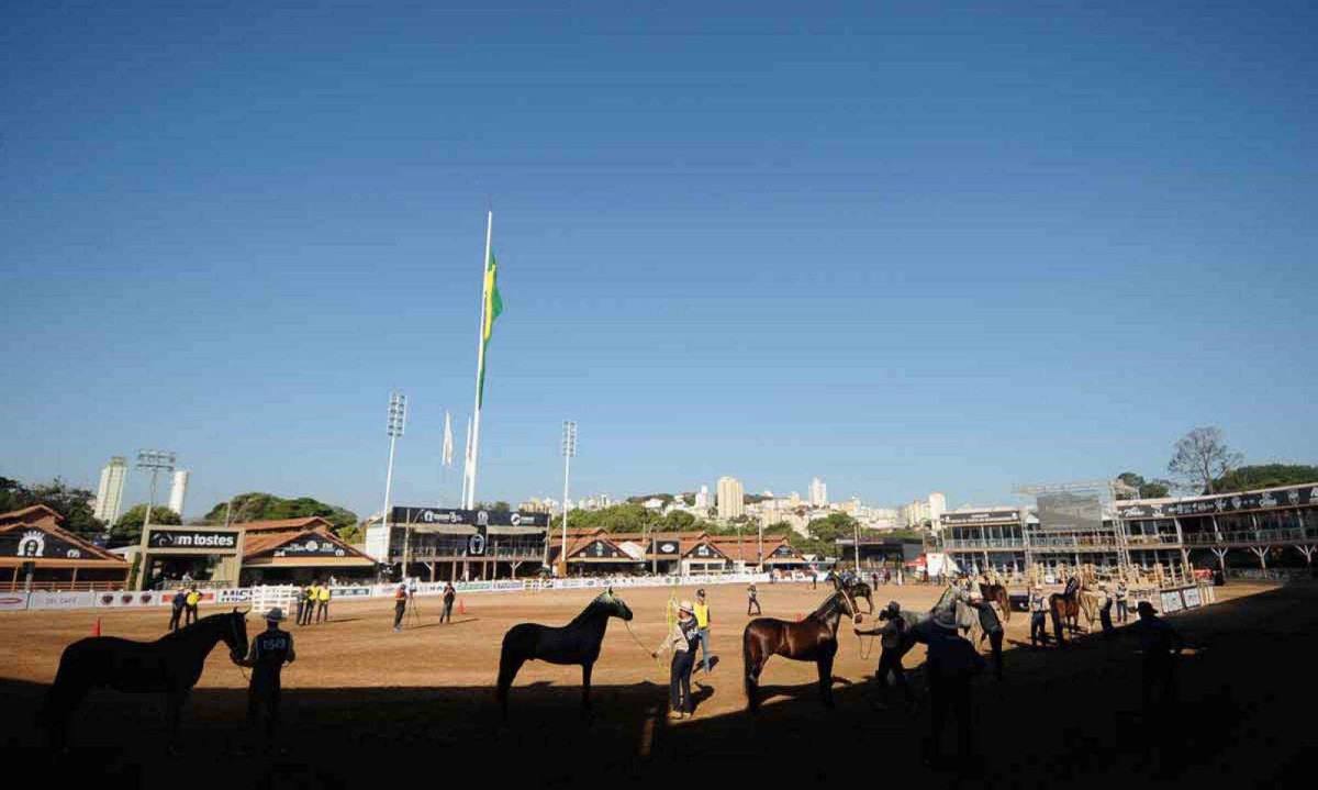 A Exposição Nacional do Cavalo Mangalarga Marchador de 2024, no Parque de Exposições da Gameleira - (crédito: Alexandre Guzanshe/EM/D.A. Press) A Exposição Nacional do Cavalo Mangalarga Marchador de 2024, no Parque de Exposições da Gameleira - (crédito: Alexandre Guzanshe/EM/D.A. Press)