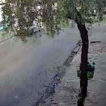 Vídeo: tiroteio deixa dois feridos no Bairro Santa Terezinha, em BH - Redes Sociais / Reprodução