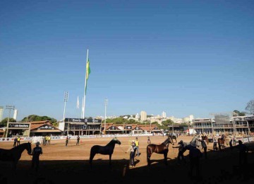A Exposição Nacional do Cavalo Mangalarga Marchador  de 2024, no Parque de Exposições da Gameleira -  (crédito: Alexandre Guzanshe/EM/D.A. Press)