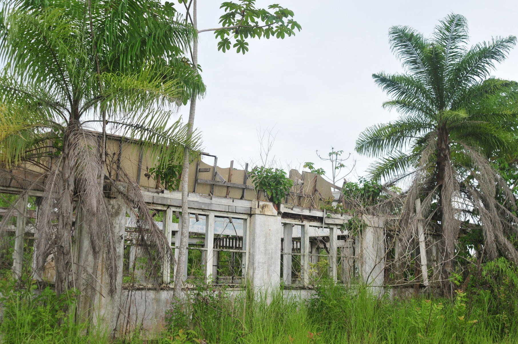  07/03/2015. Credito: Alexandre Guzanshe/EM/D.A Press. Brasil. Aveiro - PA. Fordlandia abandonada. Fordlandia e a denominacao dada a um vila criada em 1928, pelo empresario americano Henry Ford. A cidade pertence ao municipio de Aveiro e fica as margens do Rio Tapajos. Ford tinha a intencao de usar Fordlandia para abastecer suas empresas de latex, extraido de plantacao de seringueiras. Em 1945, depois de varias tentativas frustradas os executivos da Ford devolveram a vila de Fordlandia e suas construcoes ao governo brasileiro. Na foto, destrocos do hospital de Fordlandia, que quando foi construido, foi considerado o melhor hospital do norte do pais.
      - Alexandre Guzanshe/EM/D.A Press. Brasil. Aveiro - PA. Fordlandia abandonada. Fordlandia e a denominacao dada a um vila criada em 1928, pelo empresario americano Henry Ford. A cidade pertence ao municipio de Aveiro e fica as margens do Rio Tapajos. Ford tinha a intencao de usar Fordlandia para abastecer suas empresas de latex, extraido de plantacao de seringueiras. Em 1945, depois de varias tentativas frustradas os executivos da Ford devolveram a vila de Fordlandia e suas construcoes ao governo brasileiro. Na foto, destrocos do hospital de Fordlandia, que quando foi construido, foi considerado o melhor hospital do norte do pais.
