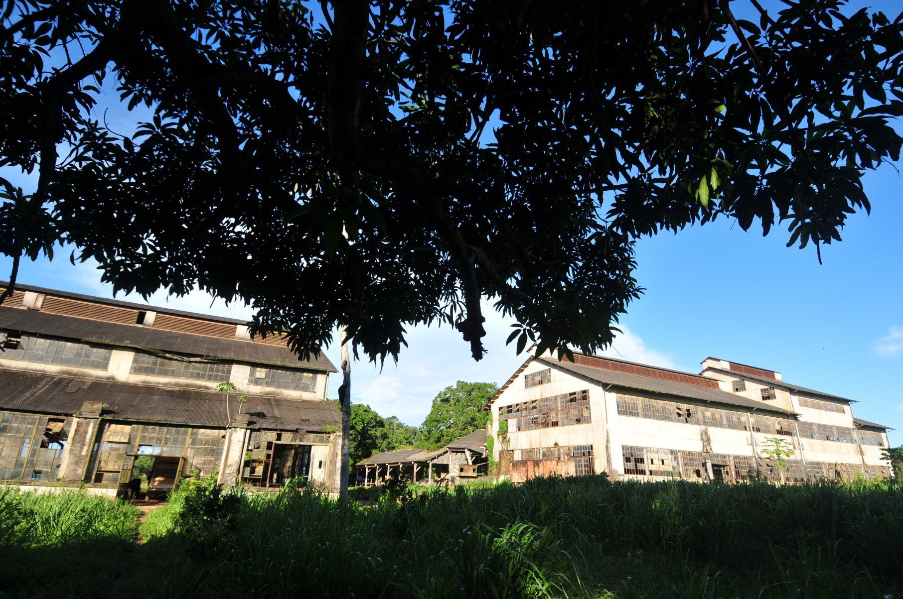  07/03/2015. Credito: Alexandre Guzanshe/EM/D.A Press. Brasil. Aveiro - PA. Fordlandia abandonada. Fordlandia e a denominacao dada a um vila criada em 1928, pelo empresario americano Henry Ford. A cidade pertence ao municipio de Aveiro e fica as margens do Rio Tapajos. Ford tinha a intencao de usar Fordlandia para abastecer suas empresas de latex, extraido de plantacao de seringueiras. Em 1945, depois de varias tentativas frustradas os executivos da Ford devolveram a vila de Fordlandia e suas construcoes ao governo brasileiro. Na foto, galpoes originais da epoca da construcao de Fordlandia, e que hoje mesmo abandonados sao usados pela prefeitura.
      - Alexandre Guzanshe/EM/D.A Press. Brasil. Aveiro - PA. Fordlandia abandonada. Fordlandia e a denominacao dada a um vila criada em 1928, pelo empresario americano Henry Ford. A cidade pertence ao municipio de Aveiro e fica as margens do Rio Tapajos. Ford tinha a intencao de usar Fordlandia para abastecer suas empresas de latex, extraido de plantacao de seringueiras. Em 1945, depois de varias tentativas frustradas os executivos da Ford devolveram a vila de Fordlandia e suas construcoes ao governo brasileiro. Na foto, galpoes originais da epoca da construcao de Fordlandia, e que hoje mesmo abandonados sao usados pela prefeitura.