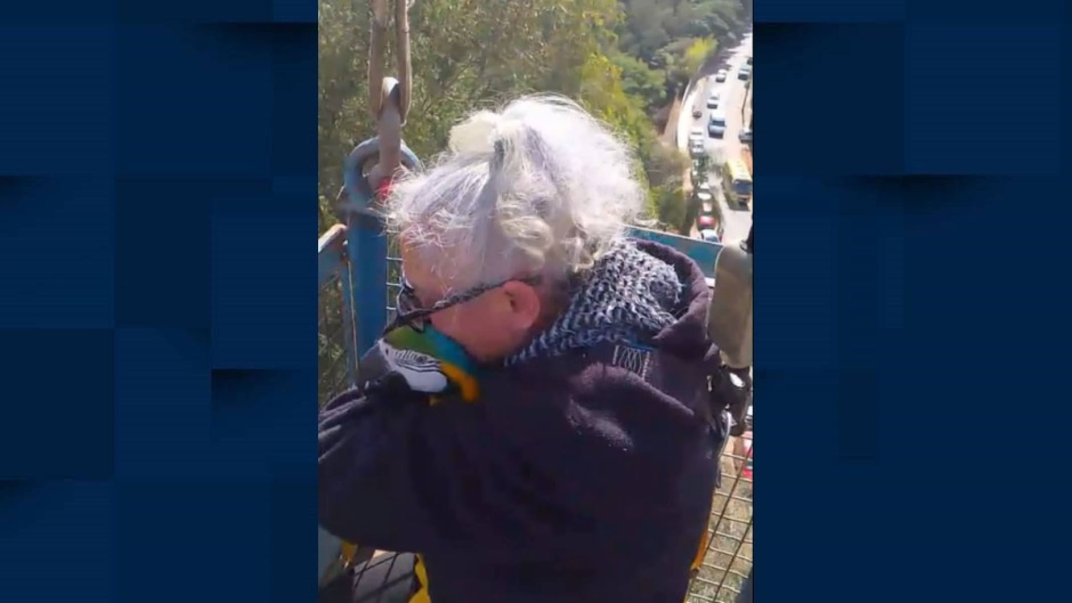 Tutora de arara enfrenta medo de altura e resgata ave a 35m de altura - Imagem cedida ao Terra do Mandu