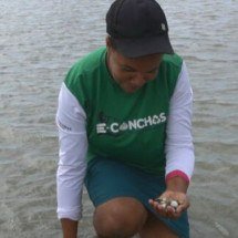 Conheça a origem e os tipos de tijolos: dos rudimentares aos ecológicos - Reprodução TV Globo 