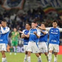 A China Azul faz a diferença no Brasil - Alexandre Guzanshe/EM/D.A. Press
