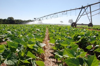 Decreto "destrava" a agricultura irrigada em Minas. Entenda