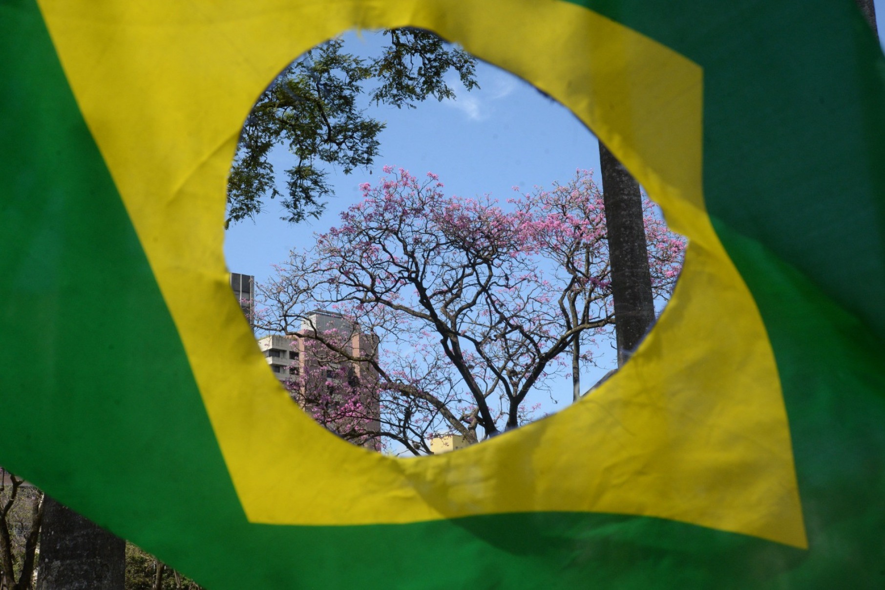 Ato organizado por bolsonaristas na Praça da Liberdade pediu impeachment do ministro do Supremo Tribunal Federal (STF), Alexandre de Moraes-Túlio Santos/EM/D.A Press