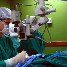 Câncer no intestino: o alerta para a importância dos exames preventivos  - Arquivo/Elza Fiúza/Agência Brasil