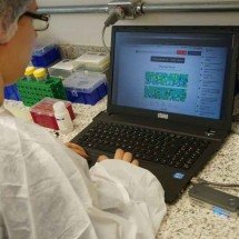 Maio Vermelho: os desafios para prevenção e tratamento das hepatites  - Priscila Frujiwara/Ag&ecirc;ncia Minas