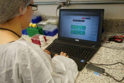 Profissional verifica testes para hepatites virais 

 -  (crédito: Priscila Frujiwara/Ag&ecirc;ncia Minas)
